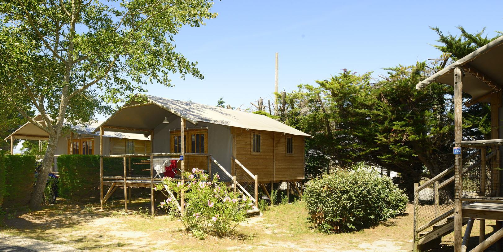 Cabin Lodge Comfort 38m² (2 bedrooms) sheltered terrace 8m²